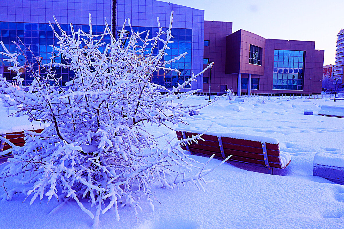 Декабрь...Морозное утро в инее! - Владимир Декабрь...Морозное утро в инее! - Владимир