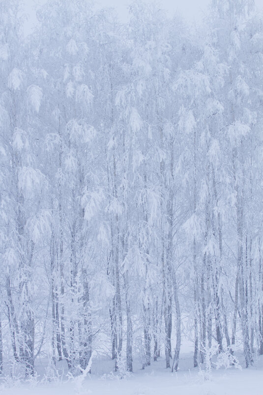 Первые заморозки - Олег Денисов