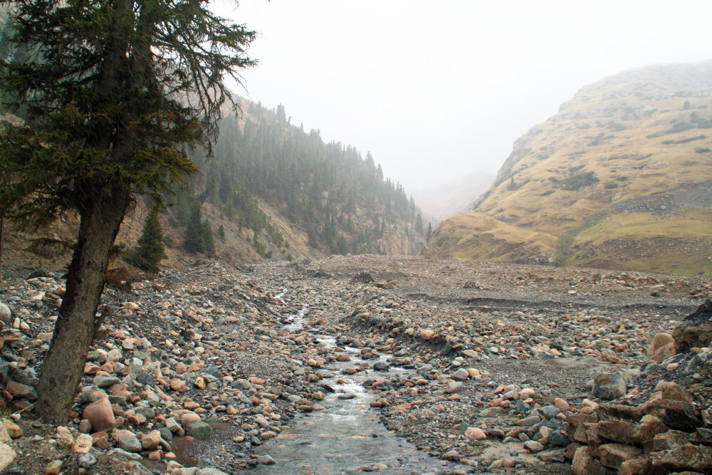 Горная речка - Галина Ильясова