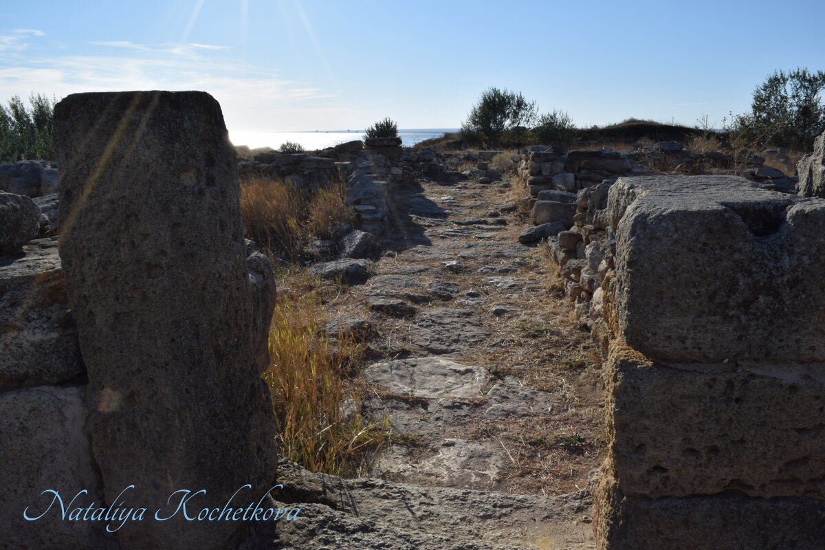 Природа Крыма - Amazing Cosmea
