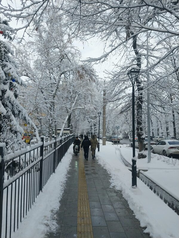 Almaty. - Murat Bukaev 