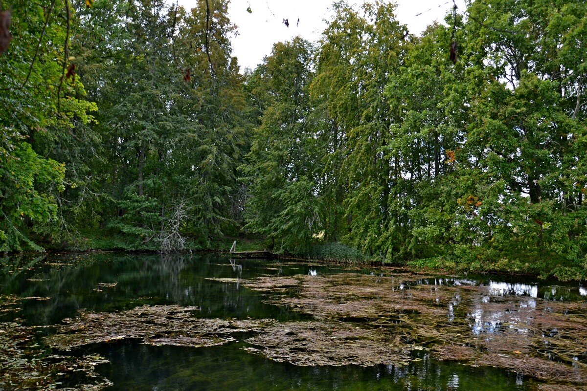 ПЕТРОВСКОЕ, вотчина Ганнибалов. - Виктор Осипчук ПЕТРОВСКОЕ, вотчина Ганнибалов. - Виктор Осипчук