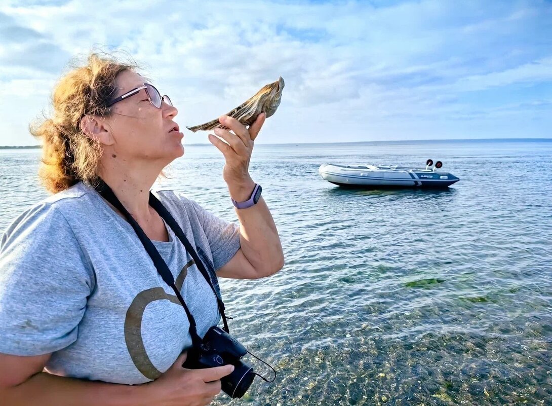 вкус устрицы - ИРЭН@ . вкус устрицы - ИРЭН@ .