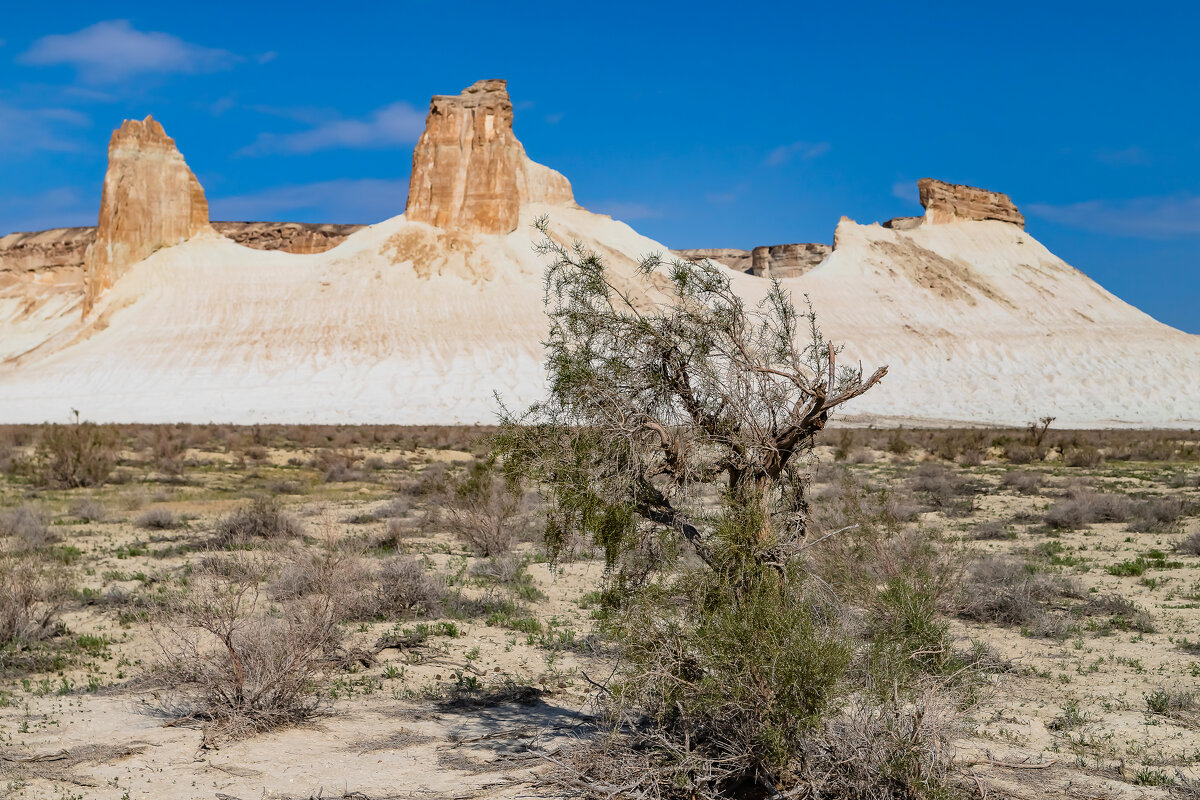 Казахстан - Андрей Щукин