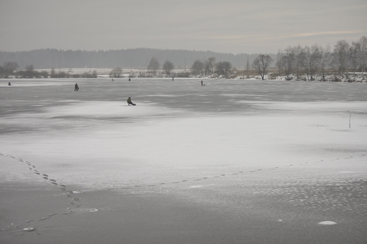 Рыбалка в Подмосковье - Владимир Носов Рыбалка в Подмосковье - Владимир Носов