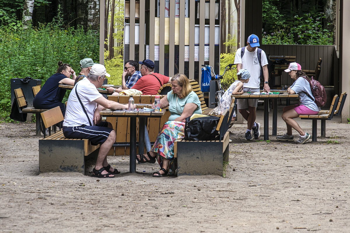 Игроки. - Александр 