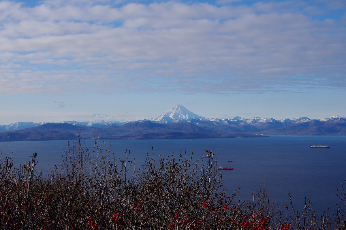 Авачинская бухта - Сергей Швечков Авачинская бухта - Сергей Швечков