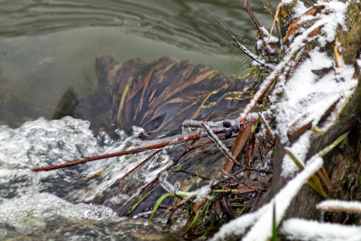 Поток журчит - sorovey Sol