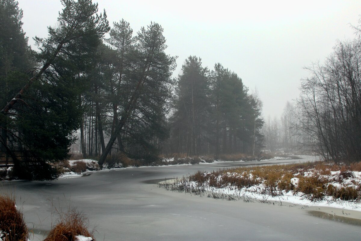 Карелия.Декабрь.Временная оттепель - Мария 