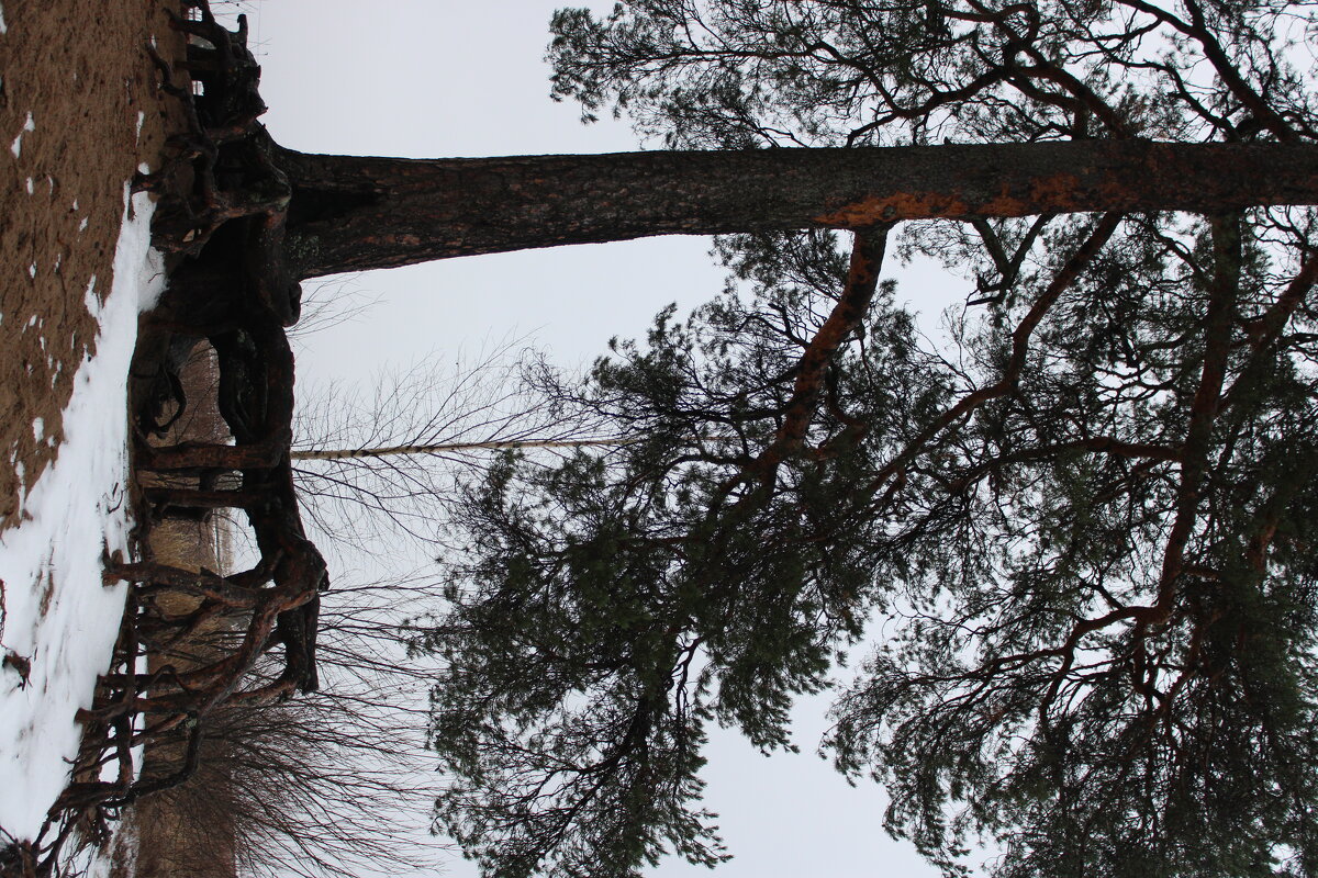 Карелия.Декабрь.Временная оттепель3 - Мария Карелия.Декабрь.Временная оттепель3 - Мария