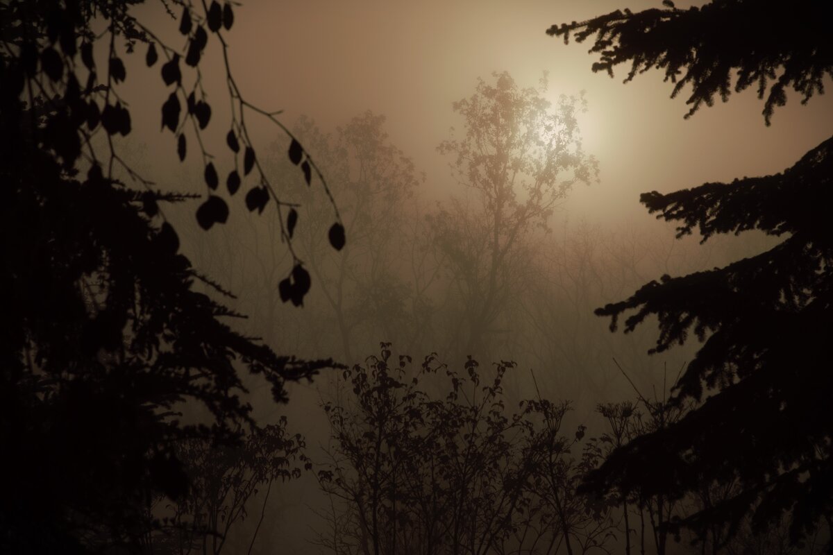 Вот свет, на него ндо идти! - Юрий Полторыхин.