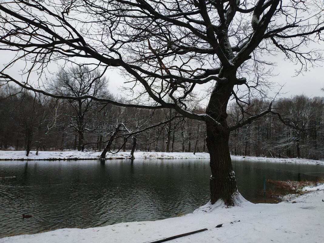 Моя ближняя память - Андрей Лукьянов