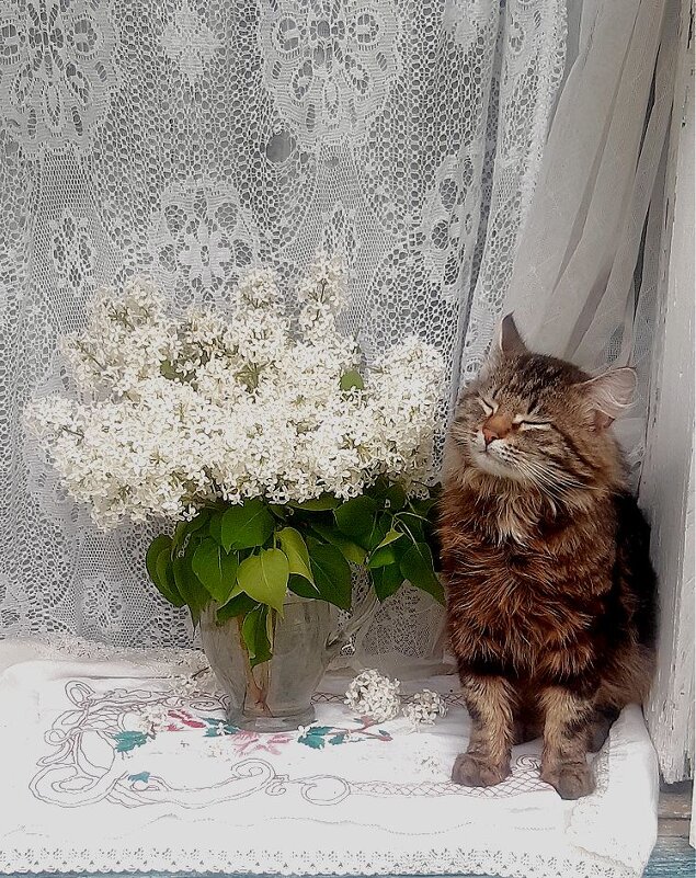 Наслаждение! - Нина Андронова