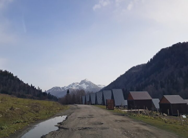 Абхазия ноябрь 2025 - Tata Wolf