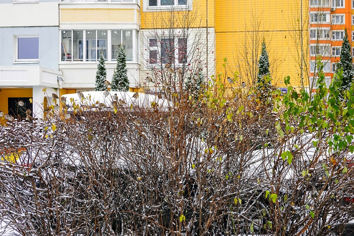 У дома моего - Валерий Иванович