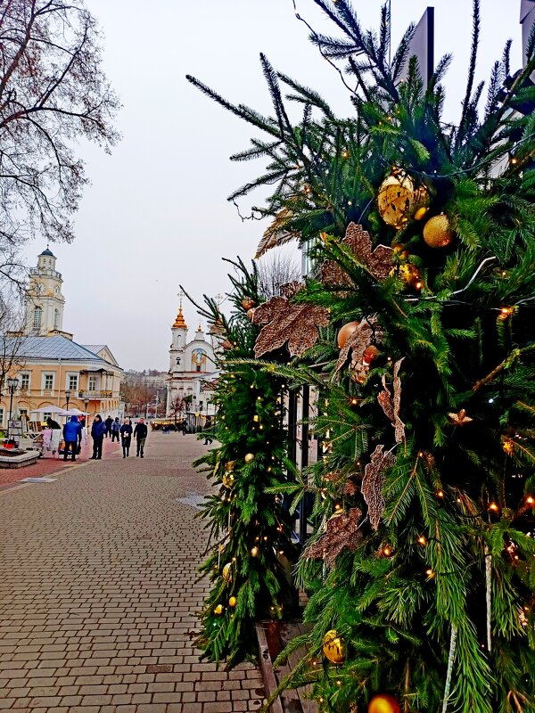 Дыхание новогодних праздников. - Vladimir Semenchukov