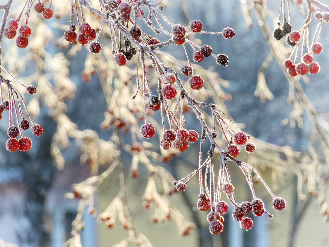 *   *   * - Уже не важно 