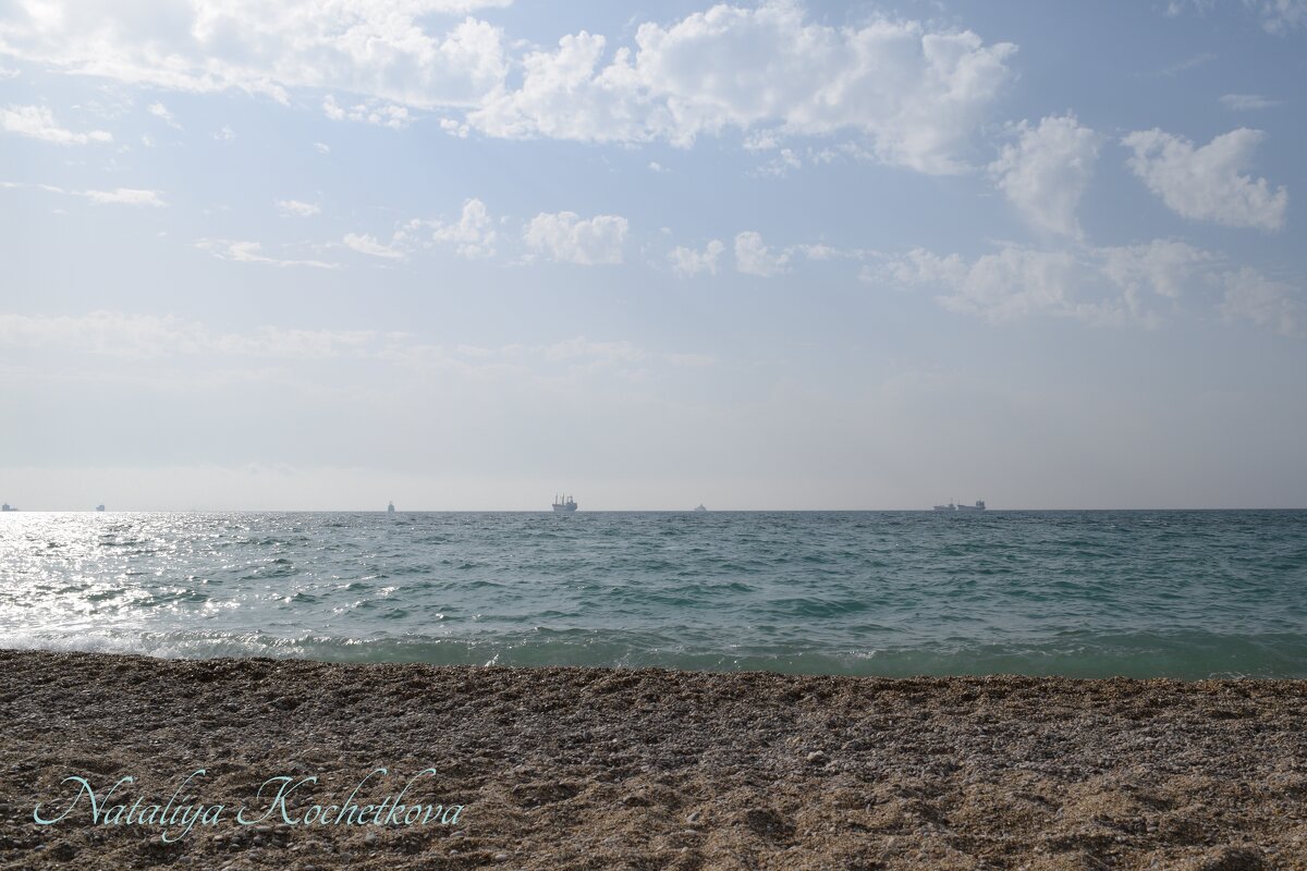 Природа Крыма - Amazing Cosmea