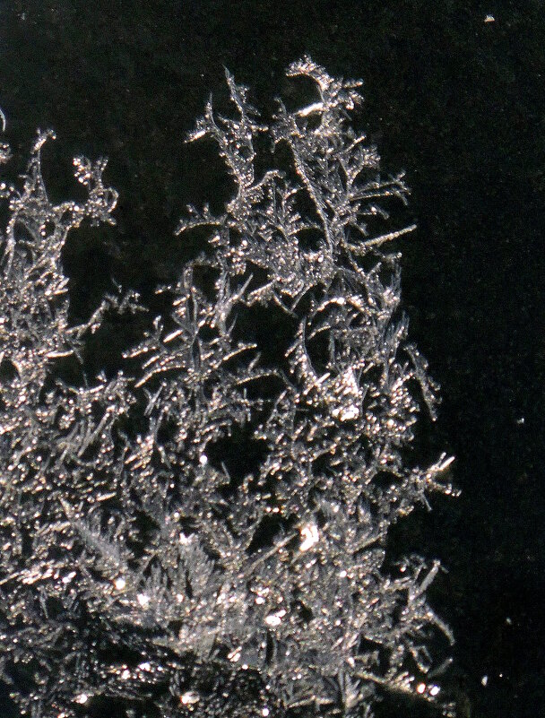 Узоры на стекле. - nadyasilyuk Вознюк Узоры на стекле. - nadyasilyuk Вознюк