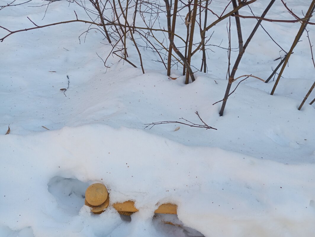 Мне хочется белого снега... - Елена Семигина