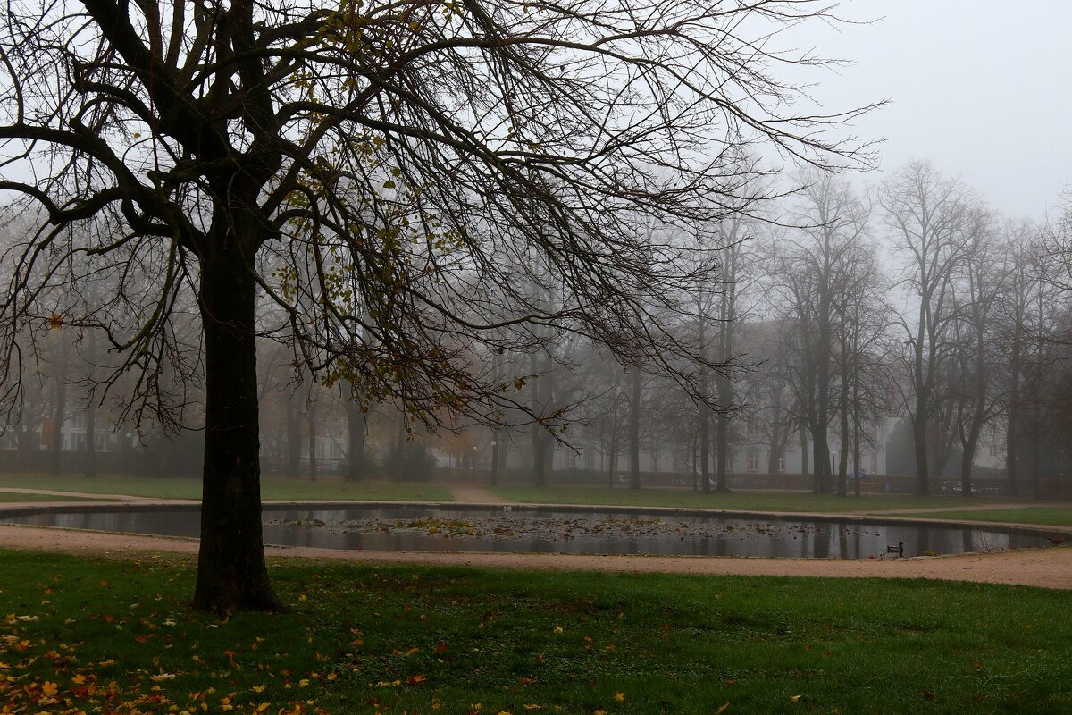 Утро нового дня - Юрий. Шмаков