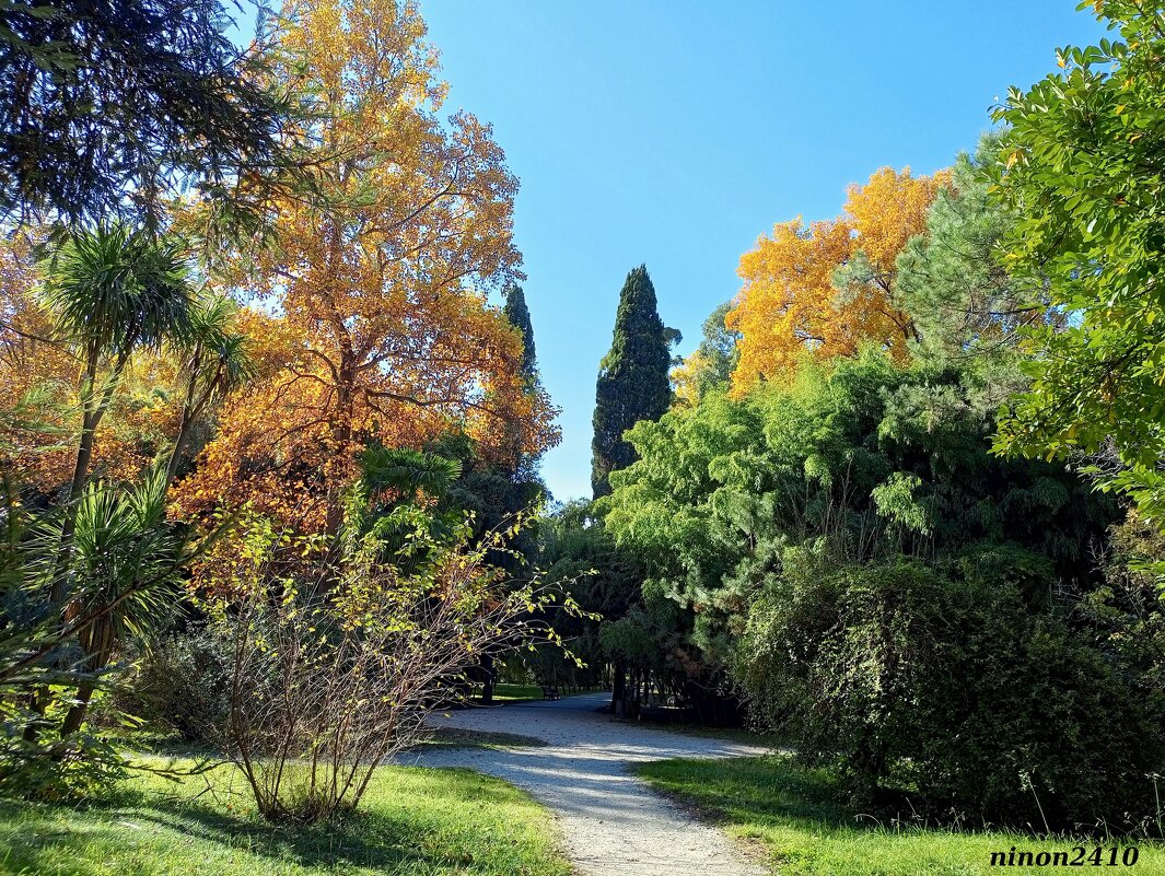 Адлер. Дендропарк "Южные культуры" - Нина Бутко