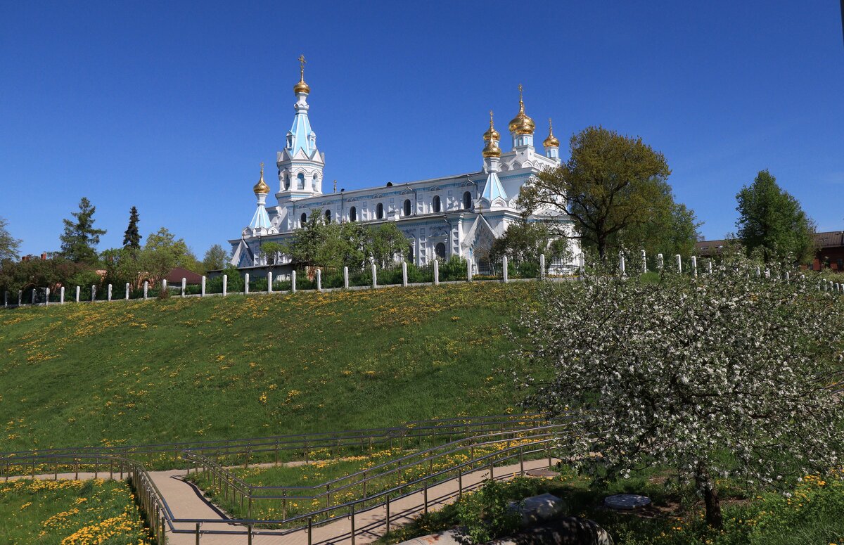 б/н - Николай б/н - Николай