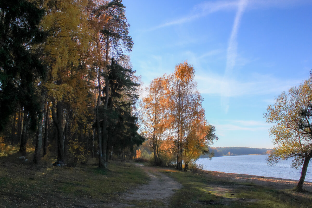 берег р.Волга - Владимир Зеленцов берег р.Волга - Владимир Зеленцов