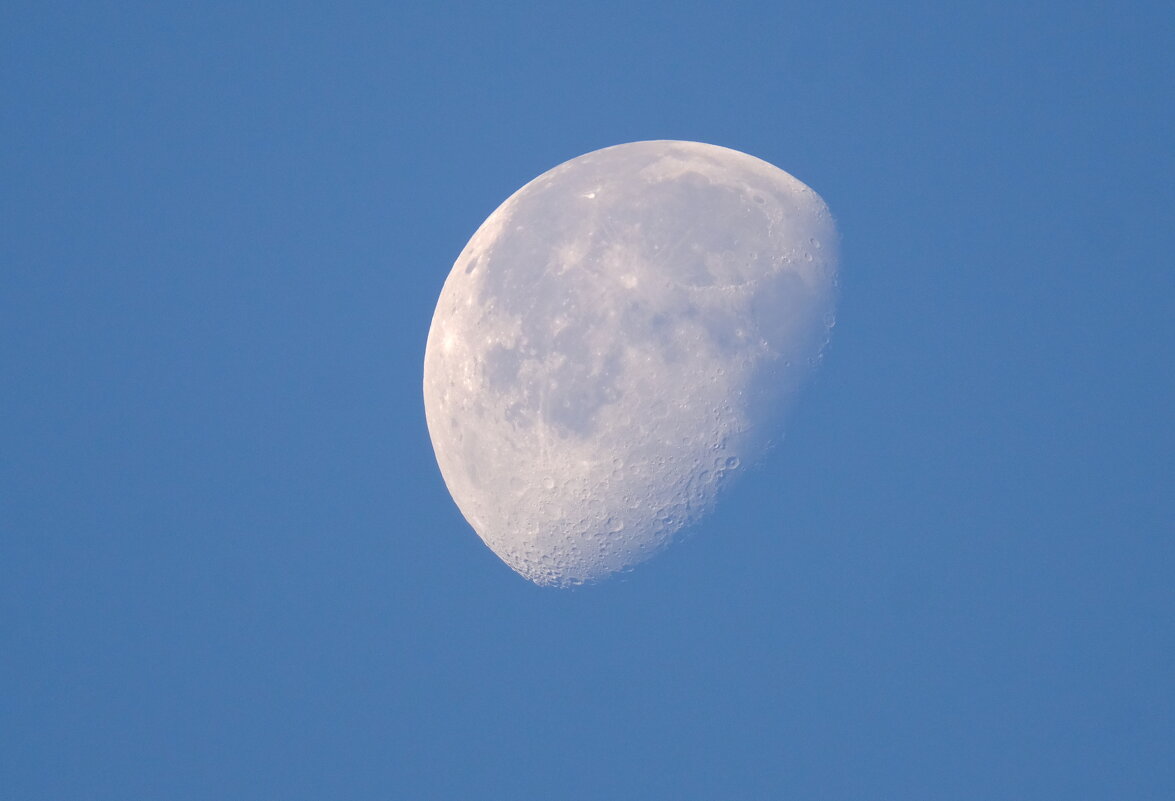 Дневная луна - Андрей Зайцев