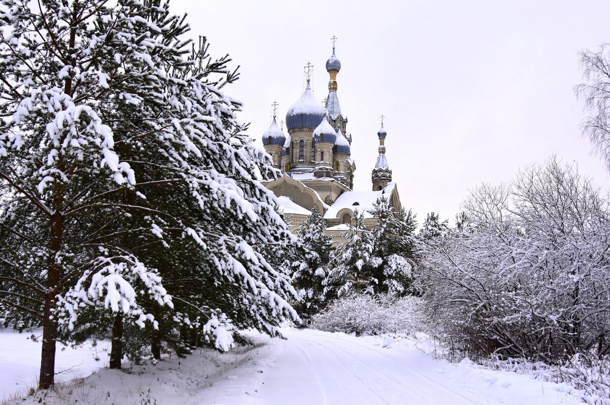 заснежило - vg154 