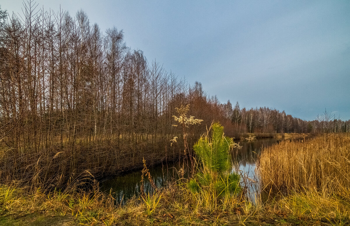 Во такая зима в Подмосковье 7 - Андрей Дворников