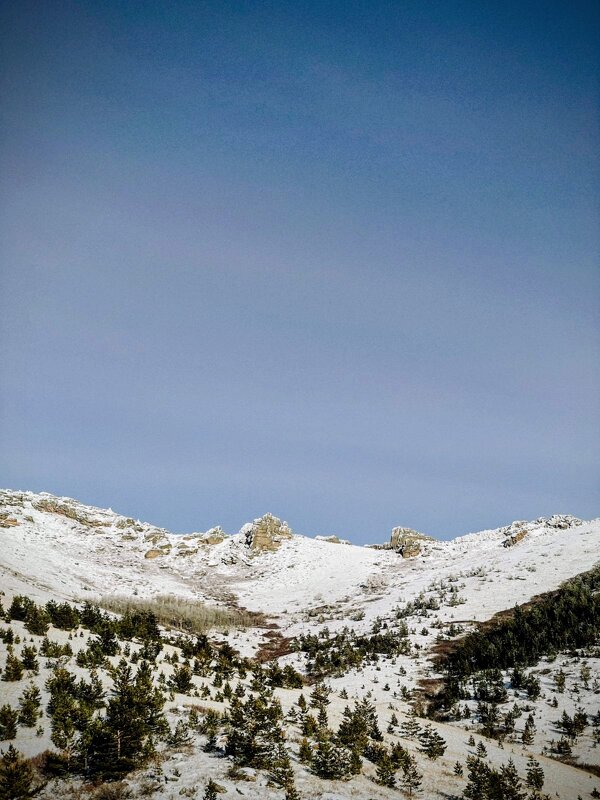 Горная красота - Георгиевич 