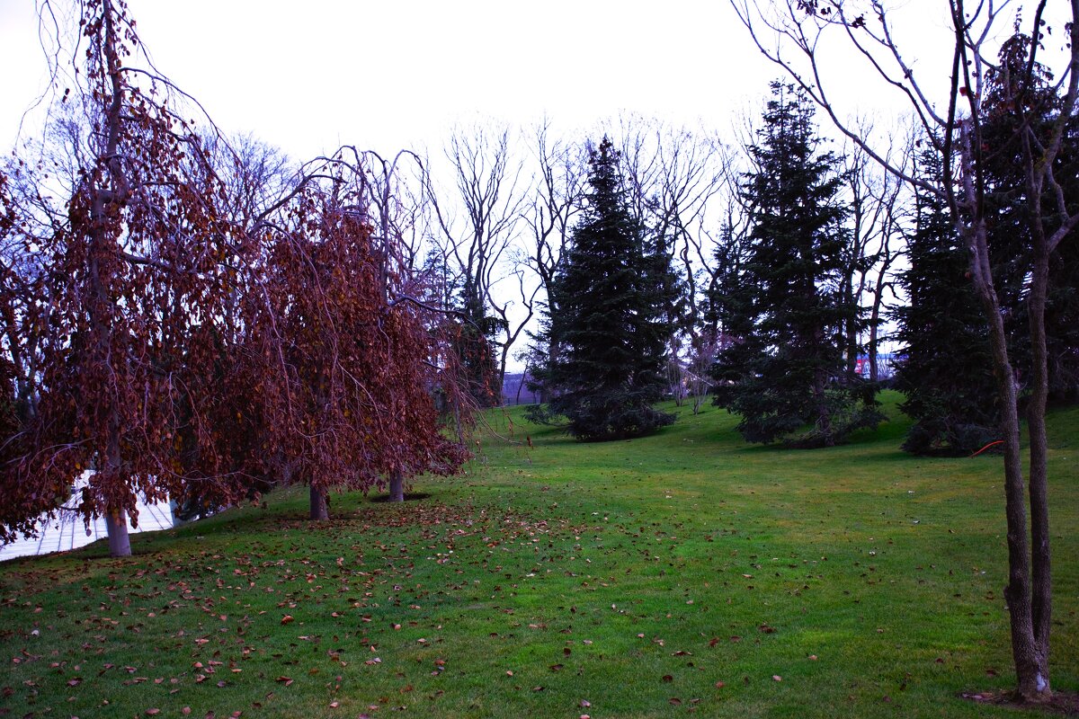 Пейзаж - Юрий Полторыхин.