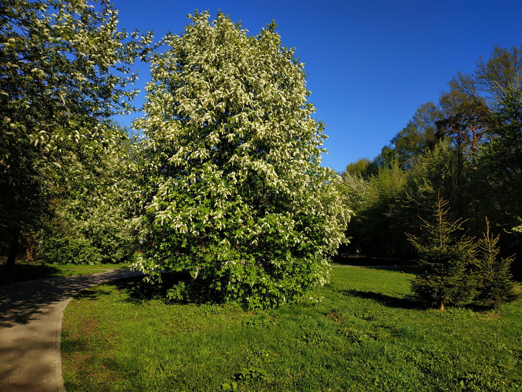 С мыслями о хорошем - Андрей Лукьянов С мыслями о хорошем - Андрей Лукьянов