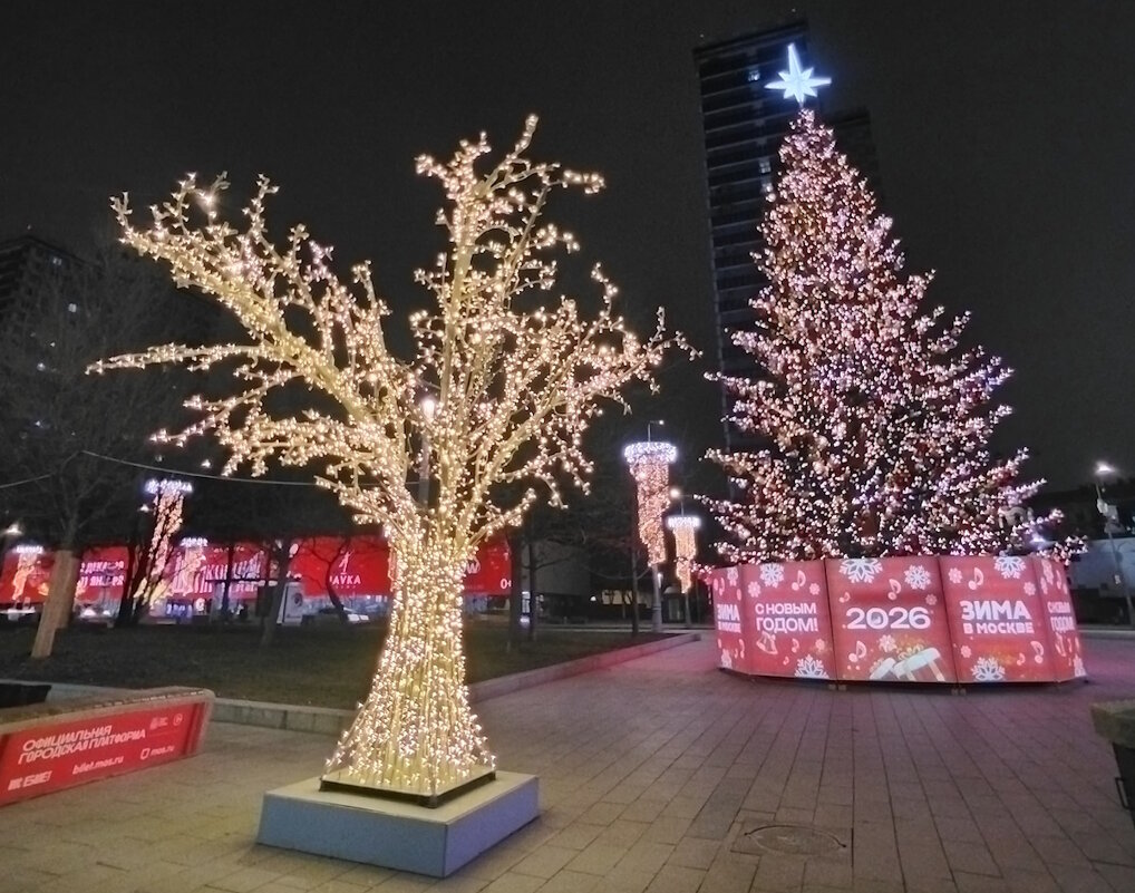 Новогодняя Москва - Ольга Довженко Новогодняя Москва - Ольга Довженко