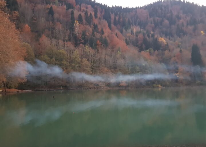 РИЦА. АБХАЗИЯ - Tata Wolf РИЦА. АБХАЗИЯ - Tata Wolf