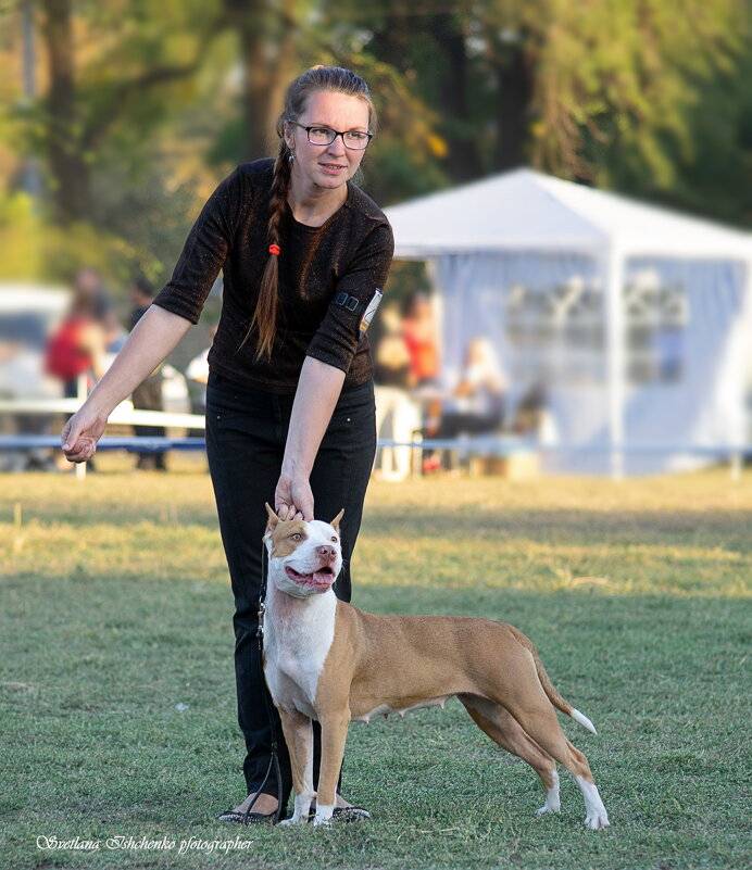 ... - Светлана Ищенко