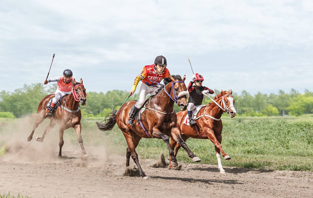 Скачки - SanSan 