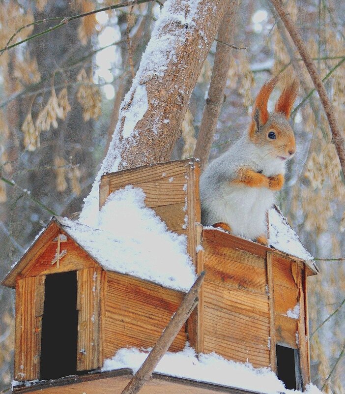 В ожидании.. - Галина Нестратова