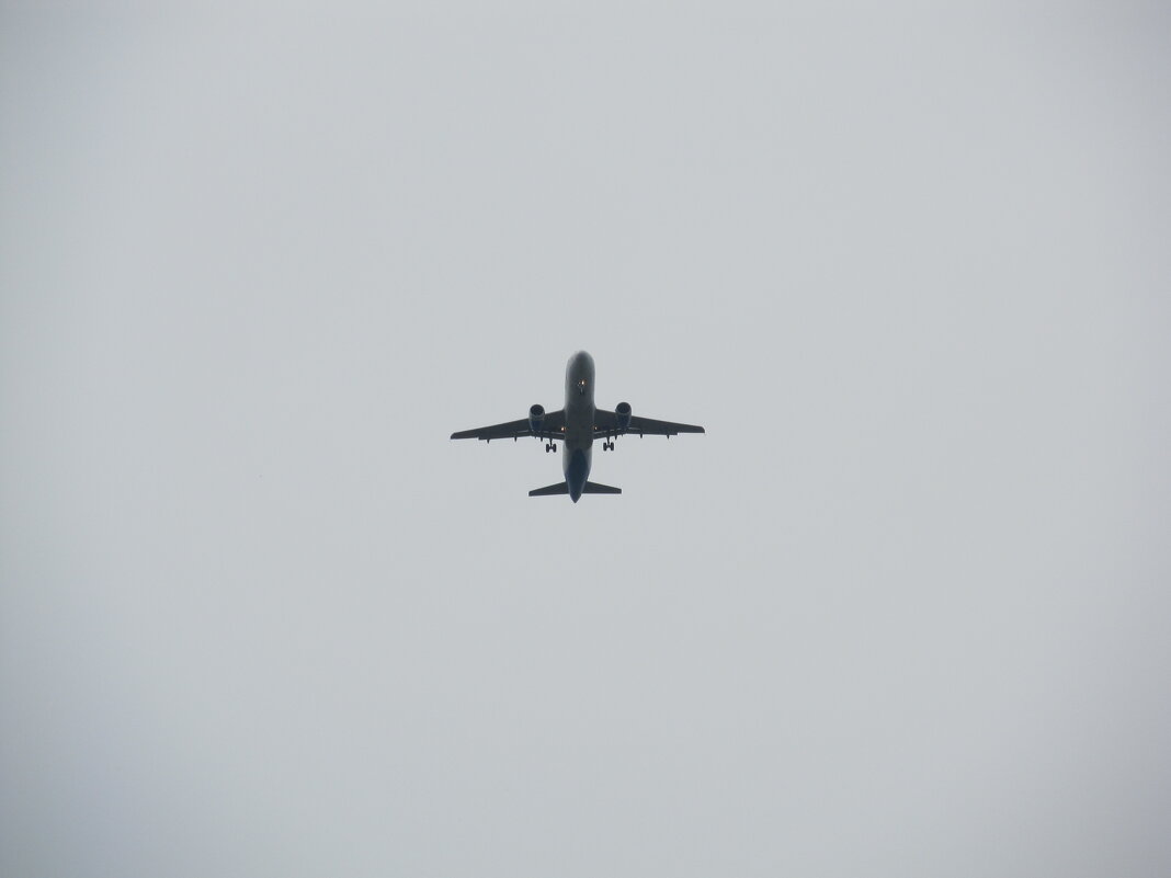 зов дальних странствий - Елена Шаламова зов дальних странствий - Елена Шаламова