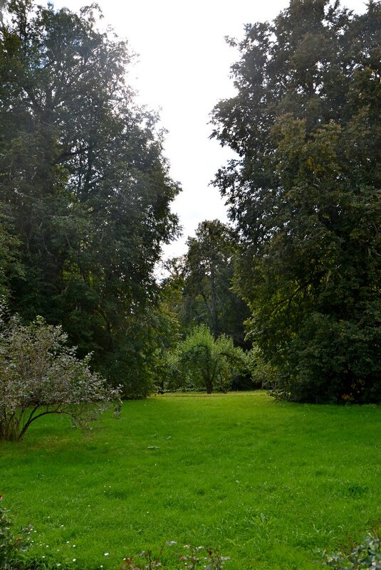 ПЕТРОВСКОЕ, вотчина Ганнибалов. - Виктор Осипчук ПЕТРОВСКОЕ, вотчина Ганнибалов. - Виктор Осипчук