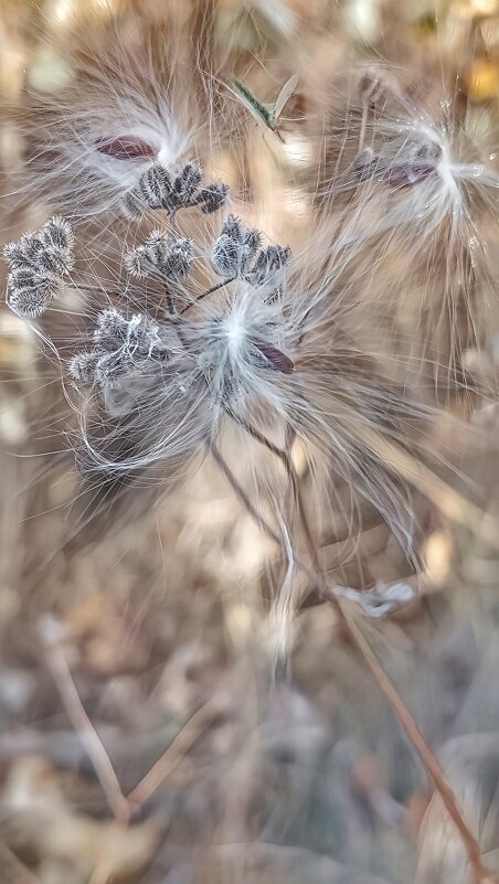 Интересно, кто-то заметил букашку?☺️ - Оксана Н.