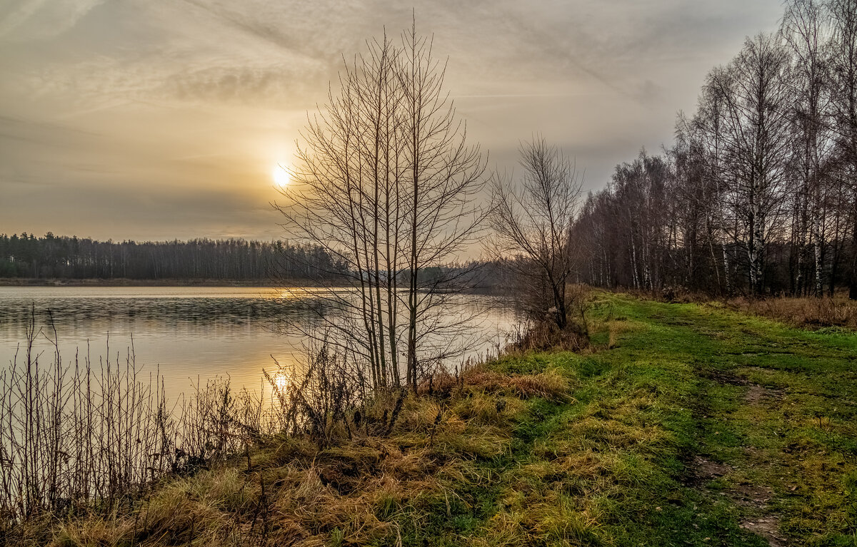 Во такая зима в Подмосковье 8 - Андрей Дворников Во такая зима в Подмосковье 8 - Андрей Дворников