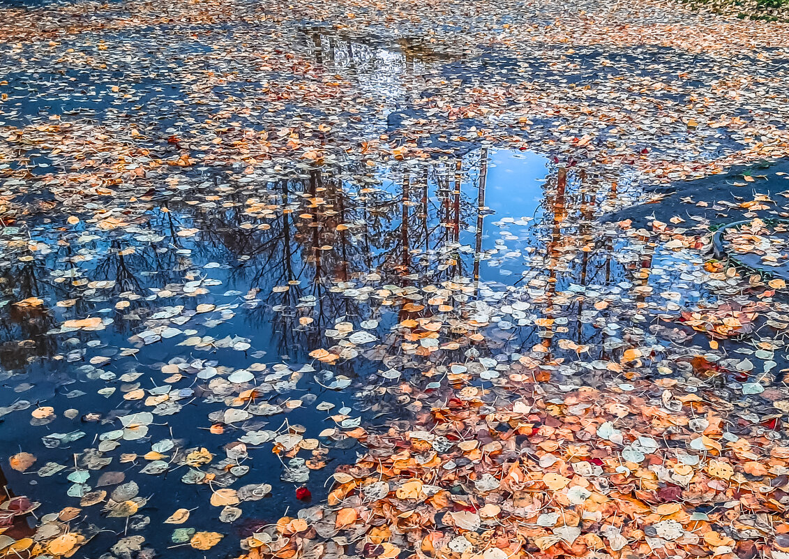 Золото в синеве - Олег Загорулько Золото в синеве - Олег Загорулько