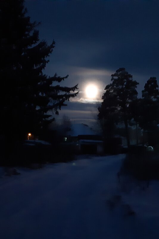 Новогоднее настроение - Галина Минчук Новогоднее настроение - Галина Минчук