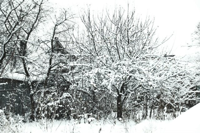 *****декабрь** - Сергей 