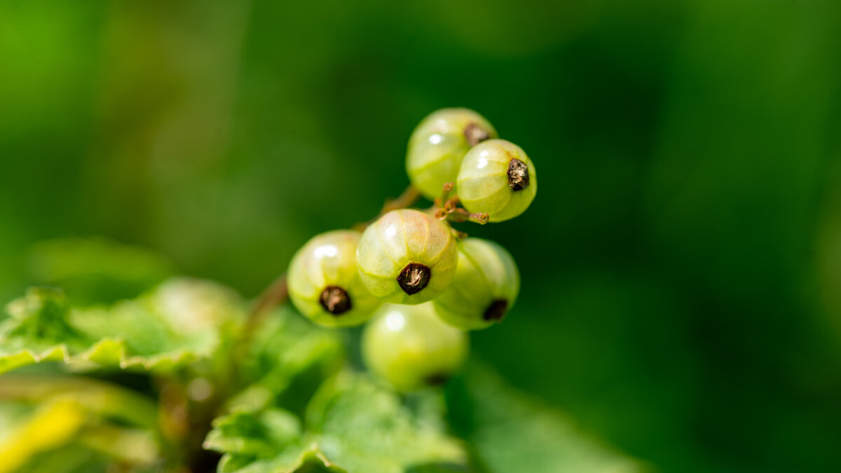 Витамины - Владимир Иванович