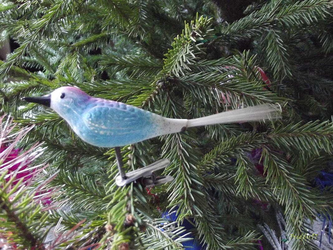 На новогодней ёлке - Freddy 97