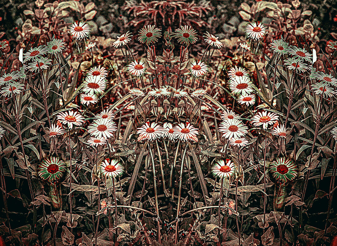 Цветение - Владимир Кроливец Цветение - Владимир Кроливец