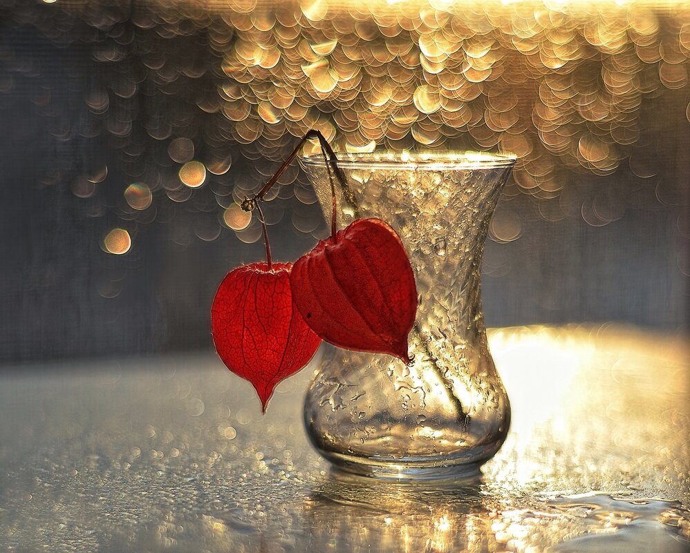 ... - Natali-C C ... - Natali-C C